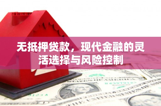 宁晋无抵押贷款，现代金融的灵活选择与风险控制