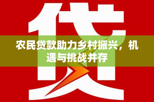 宁晋农民贷款助力乡村振兴，机遇与挑战并存