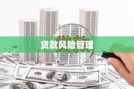 宁晋贷款风险管理