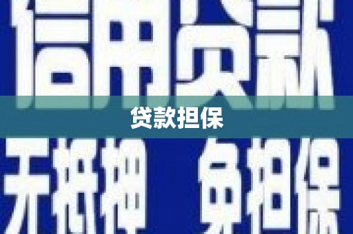 宁晋贷款担保