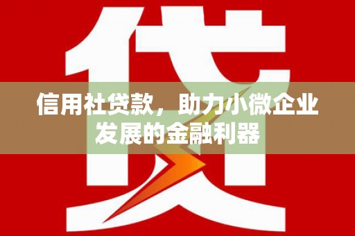 宁晋信用社贷款，助力小微企业发展的金融利器