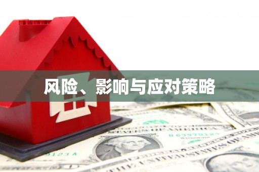 宁晋风险、影响与应对策略