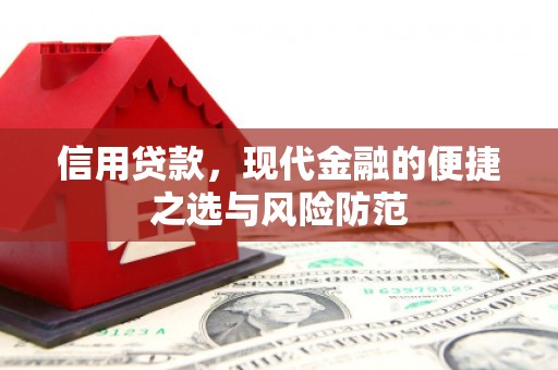 宁晋信用贷款，现代金融的便捷之选与风险防范