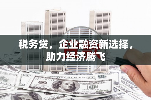 宁晋税务贷，企业融资新选择，助力经济腾飞
