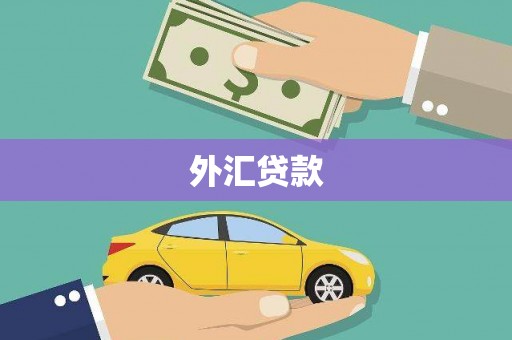 宁晋外汇贷款