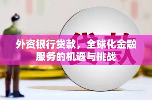 宁晋外资银行贷款，全球化金融服务的机遇与挑战