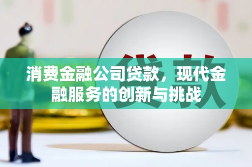 宁晋消费金融公司贷款，现代金融服务的创新与挑战