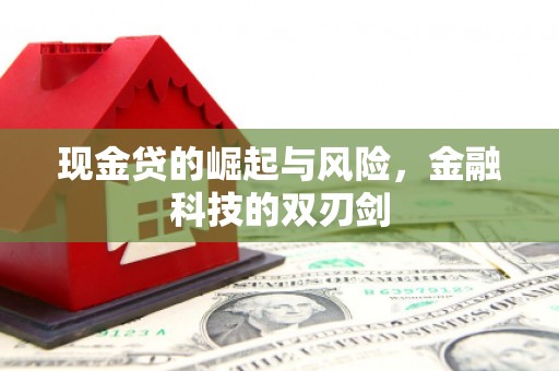 宁晋现金贷的崛起与风险，金融科技的双刃剑