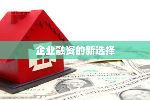 宁晋企业融资的新选择