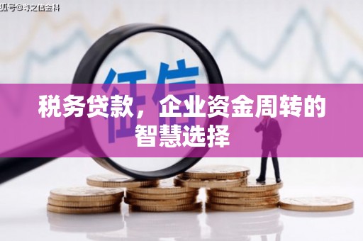 宁晋税务贷款，企业资金周转的智慧选择