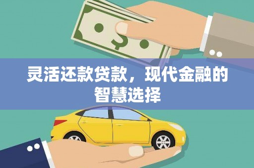宁晋灵活还款贷款，现代金融的智慧选择