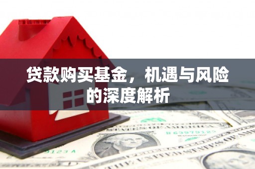 宁晋贷款购买基金，机遇与风险的深度解析