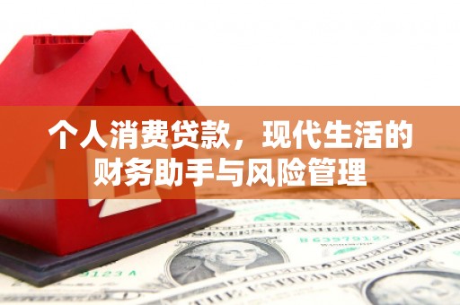 宁晋个人消费贷款，现代生活的财务助手与风险管理