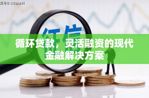 宁晋循环贷款，灵活融资的现代金融解决方案