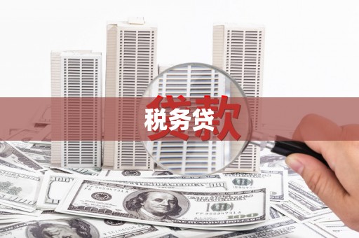 宁晋税务贷