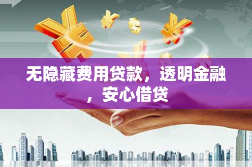 宁晋无隐藏费用贷款，透明金融，安心借贷