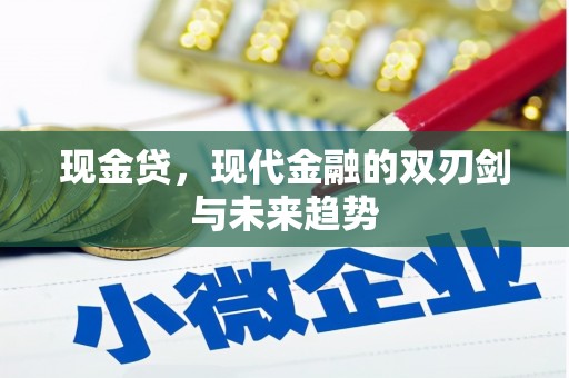 宁晋现金贷，现代金融的双刃剑与未来趋势