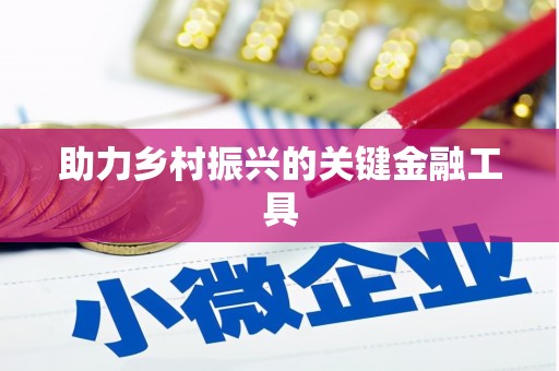 宁晋助力乡村振兴的关键金融工具