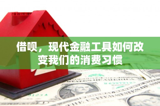 宁晋借呗，现代金融工具如何改变我们的消费习惯