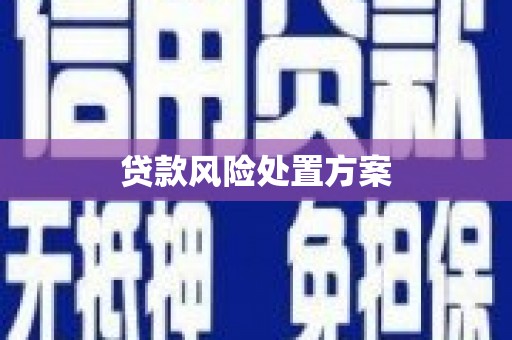 宁晋贷款风险处置方案