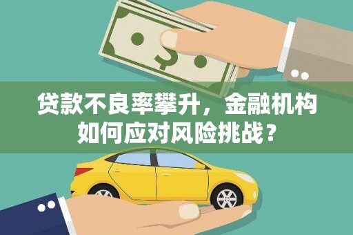 宁晋贷款不良率攀升，金融机构如何应对风险挑战？