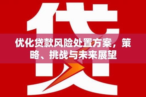 宁晋优化贷款风险处置方案，策略、挑战与未来展望