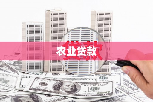 宁晋农业贷款