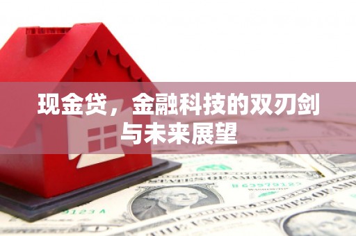 宁晋现金贷，金融科技的双刃剑与未来展望