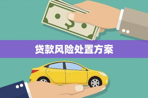 宁晋贷款风险处置方案