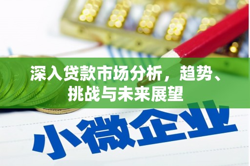 宁晋深入贷款市场分析，趋势、挑战与未来展望