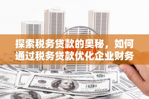 宁晋探索税务贷款的奥秘，如何通过税务贷款优化企业财务