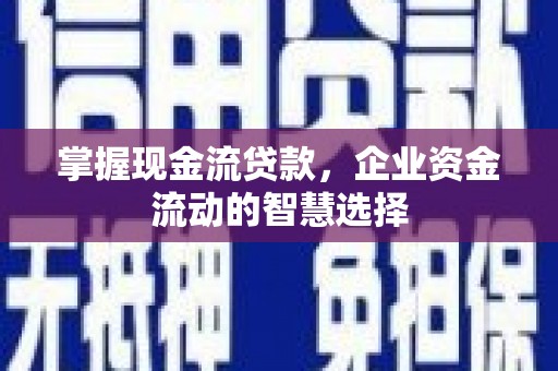 宁晋掌握现金流贷款，企业资金流动的智慧选择