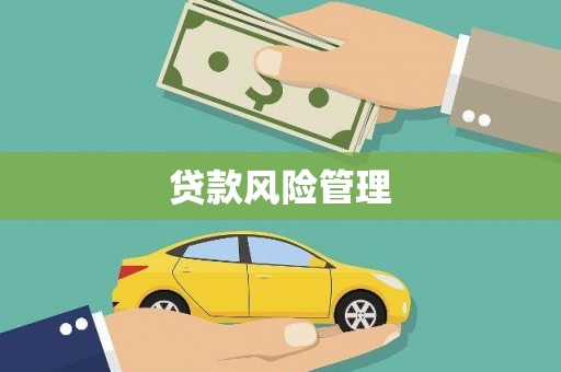 宁晋贷款风险管理