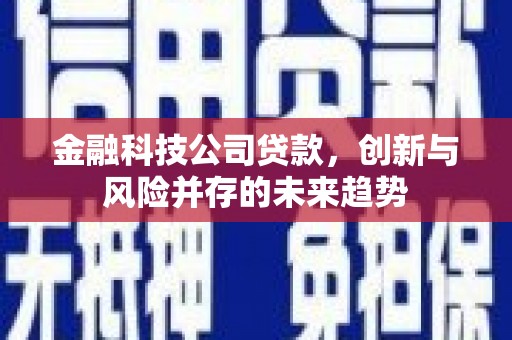 宁晋金融科技公司贷款，创新与风险并存的未来趋势