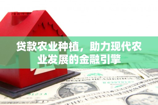 宁晋贷款农业种植，助力现代农业发展的金融引擎