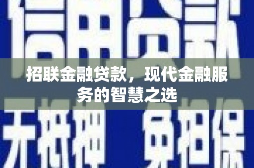 宁晋招联金融贷款，现代金融服务的智慧之选