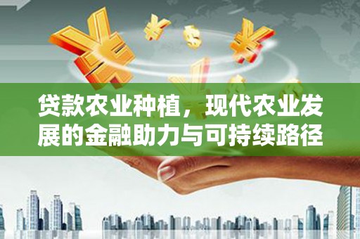 宁晋贷款农业种植，现代农业发展的金融助力与可持续路径