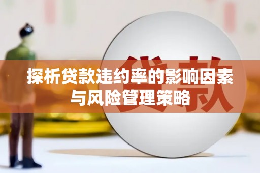 宁晋探析贷款违约率的影响因素与风险管理策略
