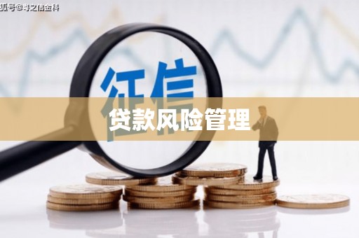 宁晋贷款风险管理