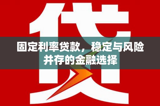 宁晋固定利率贷款，稳定与风险并存的金融选择