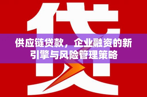 宁晋供应链贷款，企业融资的新引擎与风险管理策略