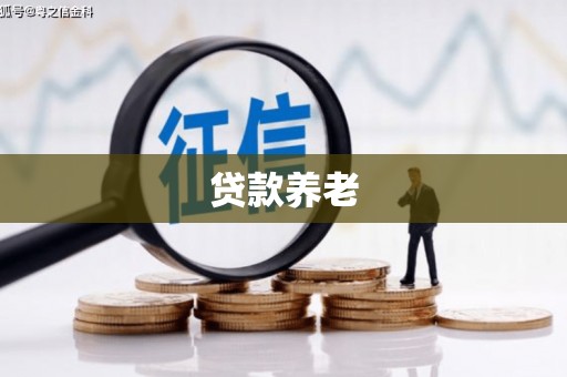 宁晋贷款养老