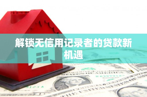 宁晋解锁无信用记录者的贷款新机遇
