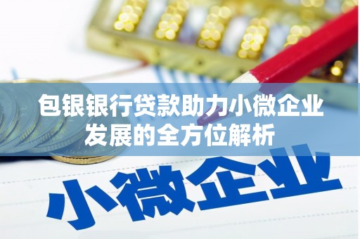 宁晋包银银行贷款助力小微企业发展的全方位解析