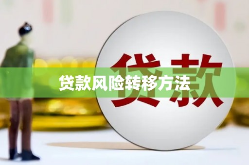 宁晋贷款风险转移方法