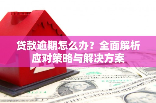 宁晋贷款逾期怎么办？全面解析应对策略与解决方案