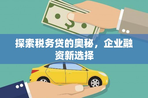 宁晋探索税务贷的奥秘，企业融资新选择