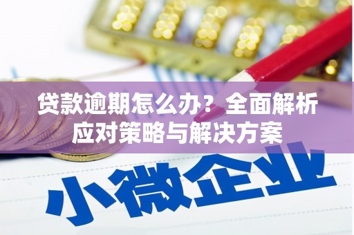 宁晋贷款逾期怎么办？全面解析应对策略与解决方案