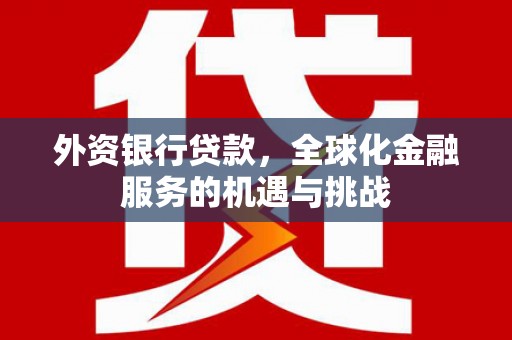 宁晋外资银行贷款，全球化金融服务的机遇与挑战