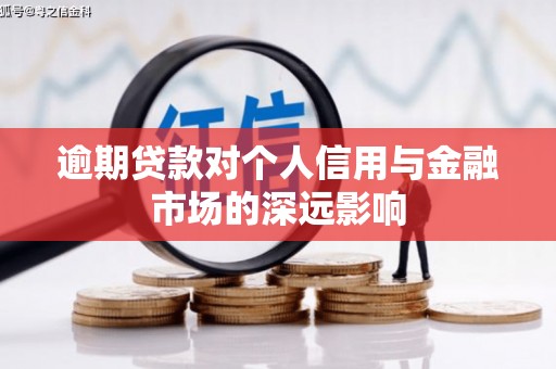 宁晋逾期贷款对个人信用与金融市场的深远影响